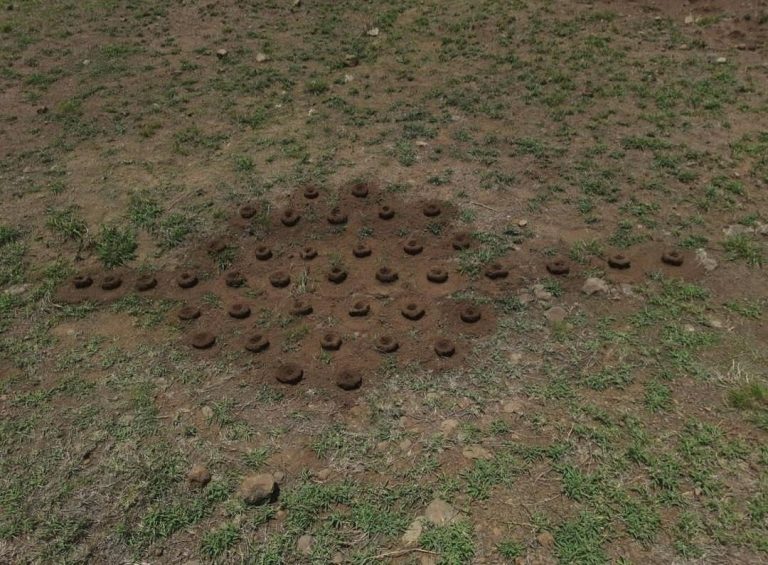 land-pic-9